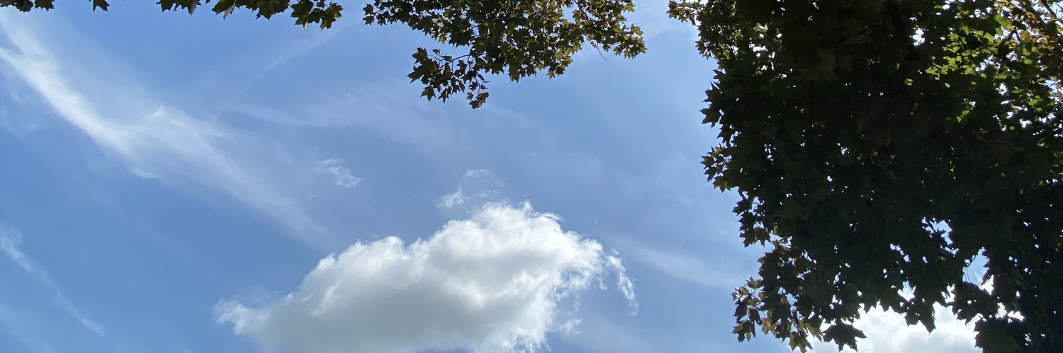 NickNedza's profile banner image