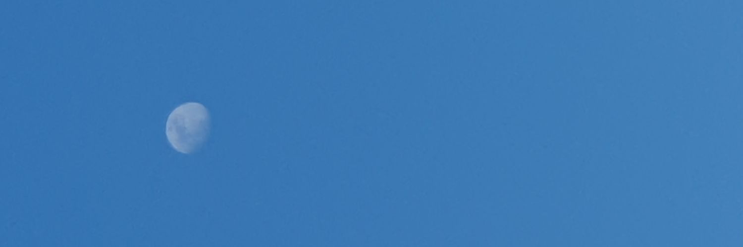 piyatree's profile banner image