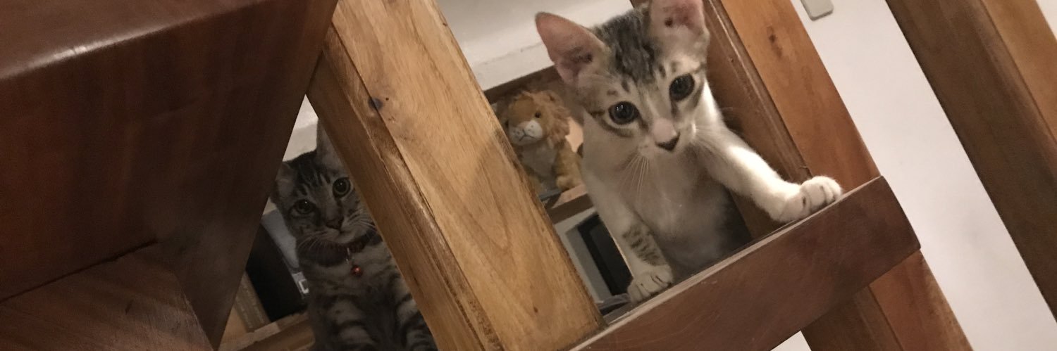 CitizenCass 🐈 🐾 banner