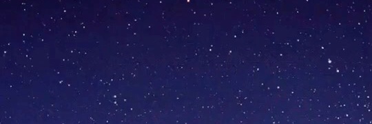 Alina banner