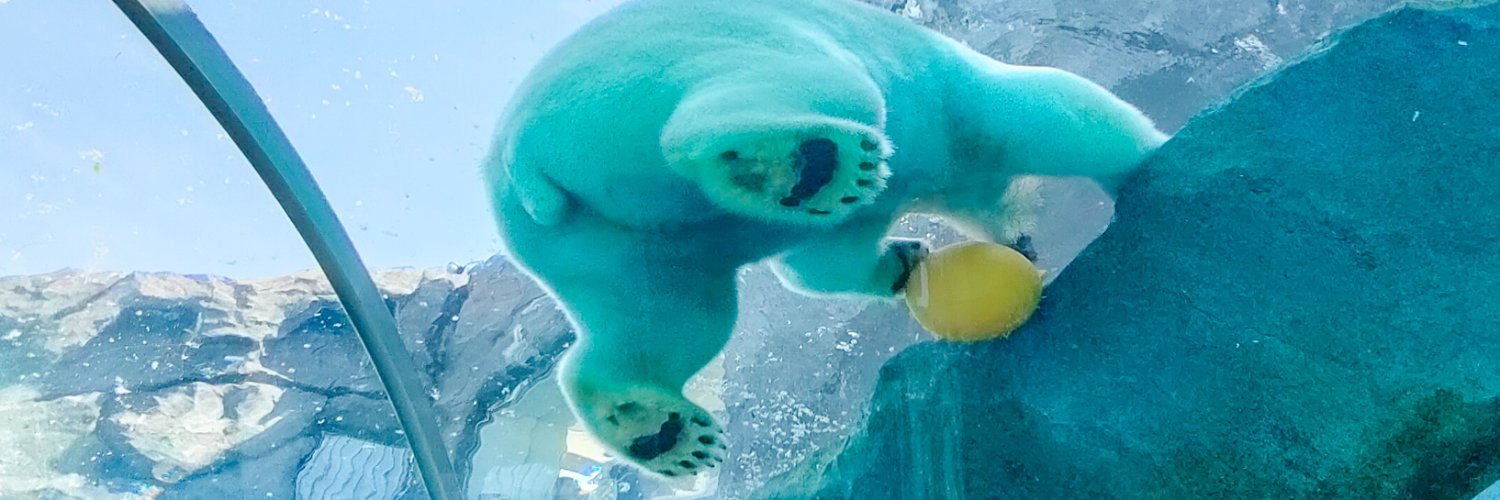 BEAR_NEWS's profile banner image