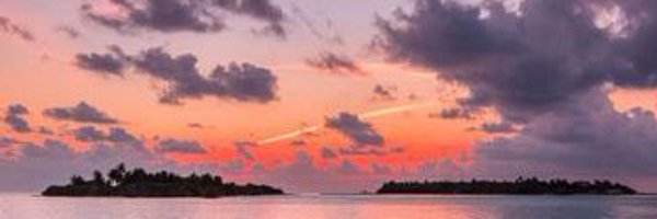 partytrickss Profile Banner