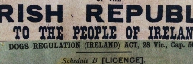 Kate Conway☘️ banner