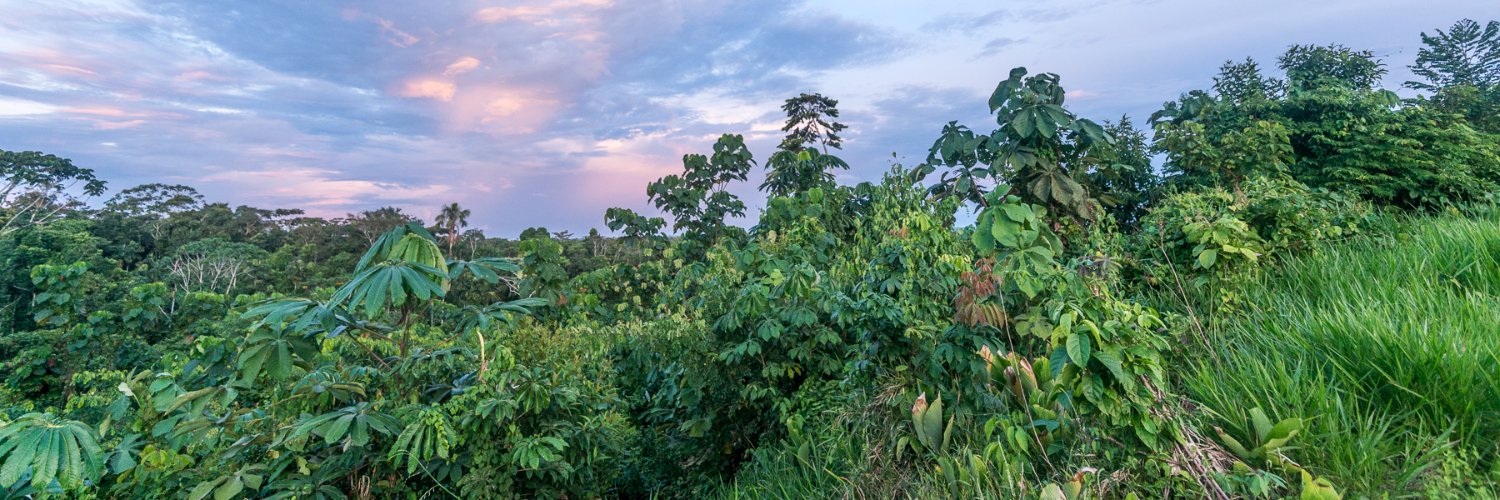Temple of the Way of Light banner