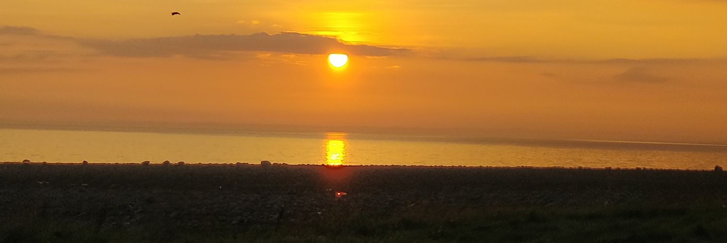lozzalaffs's profile banner image