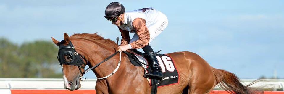 Sam Weatherley banner