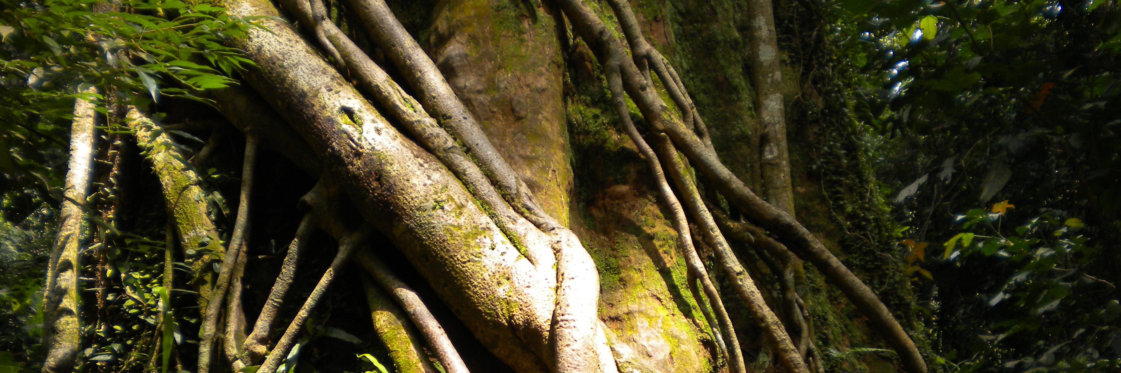 hegerag's profile banner image
