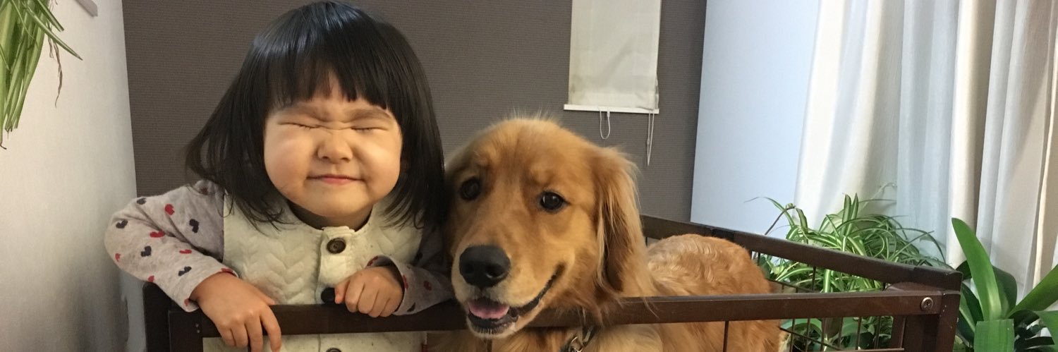 kayukoge's profile banner image