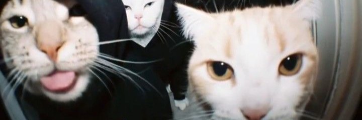stomasr_'s profile banner image