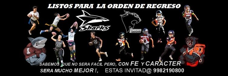 cancunsharks's profile banner image