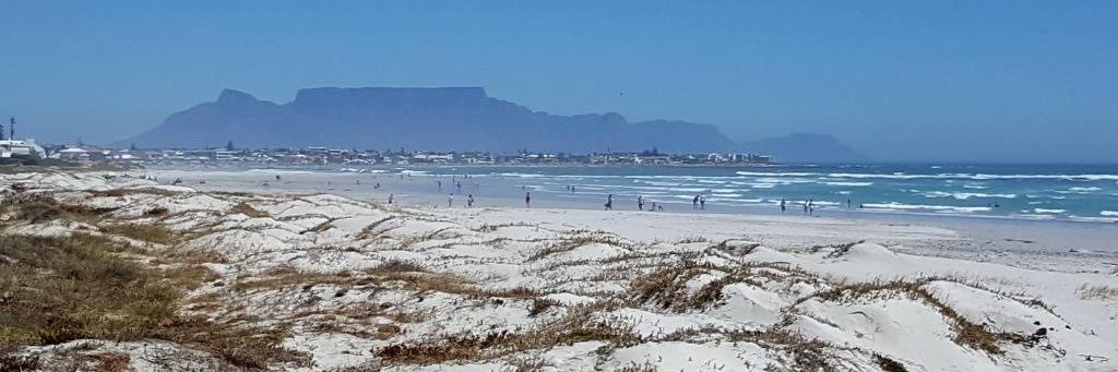 Black Rooster🏴 banner