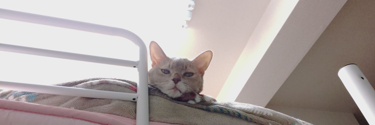 さ ななか★ banner