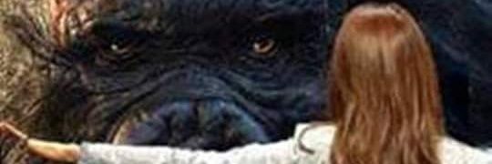 FRivillo's profile banner image