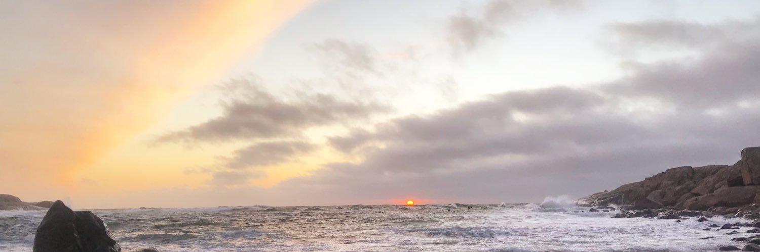wangdellen's profile banner image