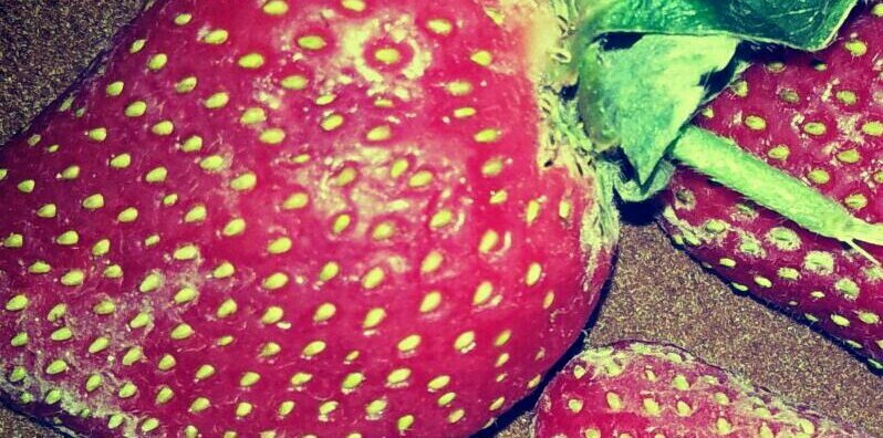ajengriyandi's profile banner image