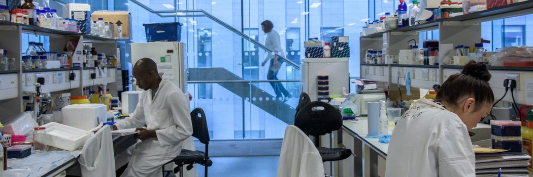 Centre for Drugs and Diagnostics (CDD) banner