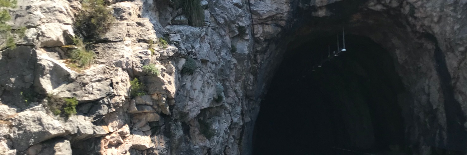 Asking for a friend banner