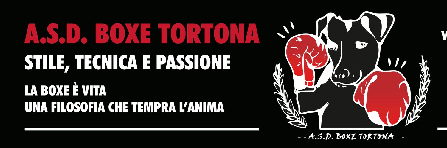 BoxeTortona's profile banner image