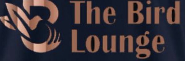 Apollofc1990 Profile Banner