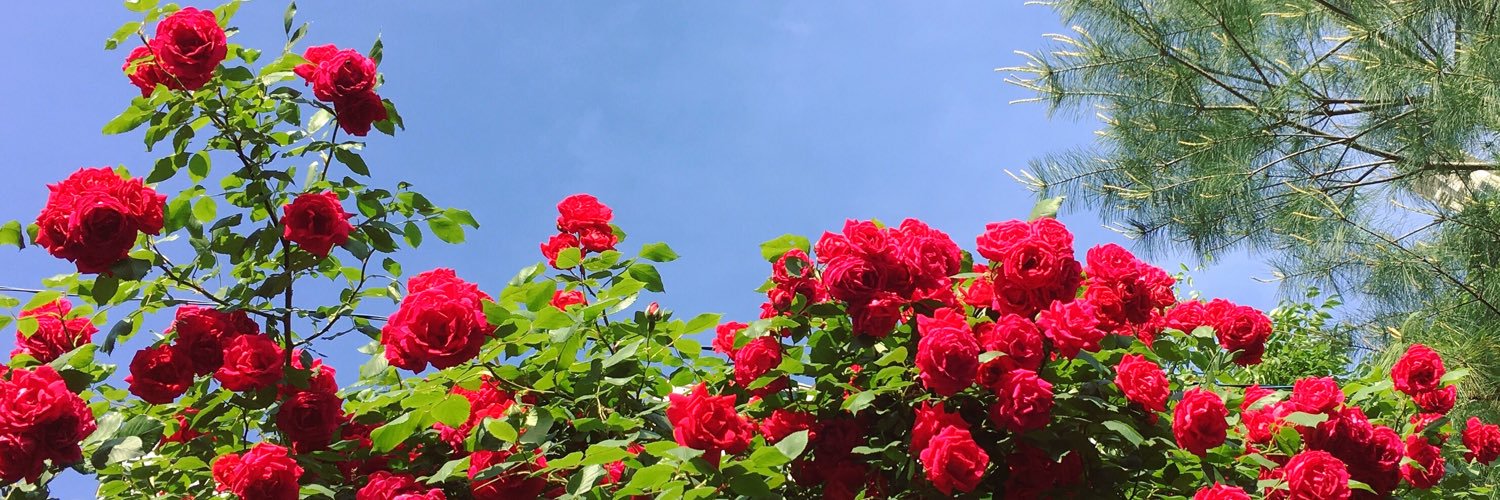 지 현 banner