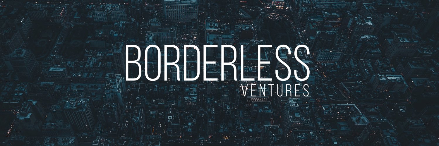 Borderless Ventures banner
