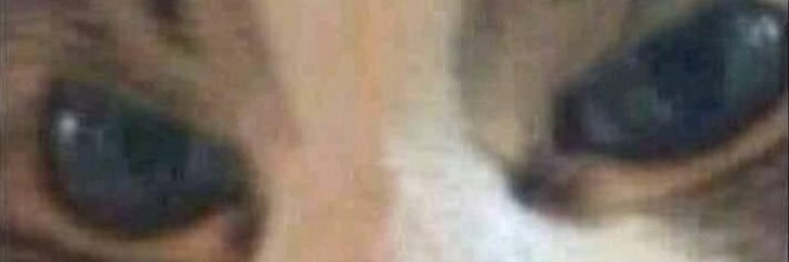 ronnytebeast's profile banner image