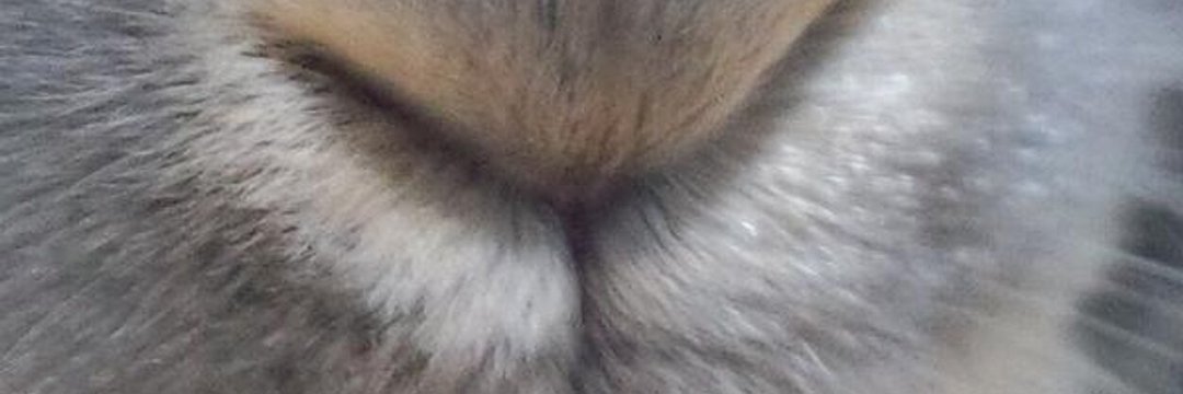 Mi_gon's profile banner image