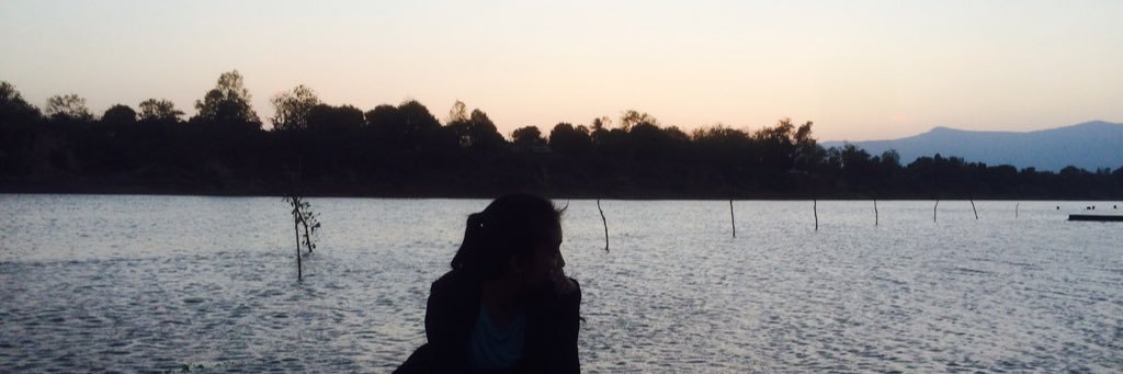 MiMiesengdala's profile banner image