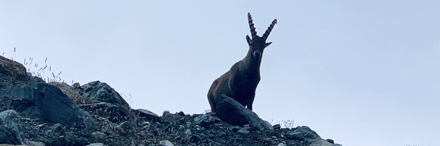 giacomorisso's profile banner image