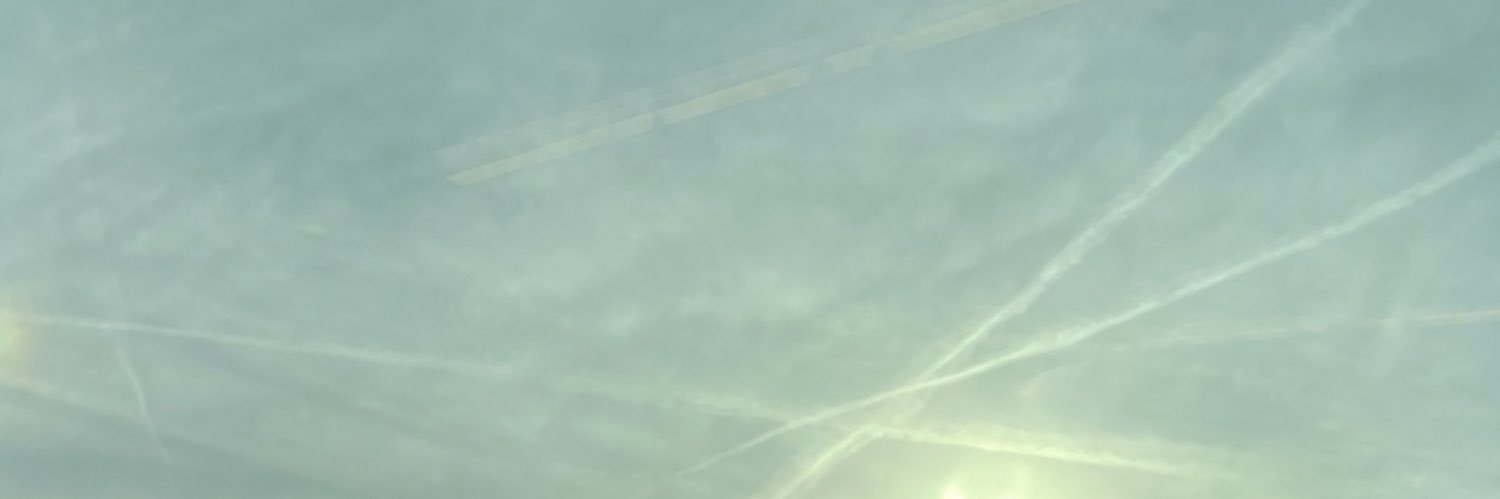 Christiane Ribeiro banner