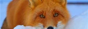 suz___m's profile banner image