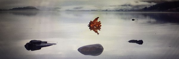 StevenWood223 Profile Banner