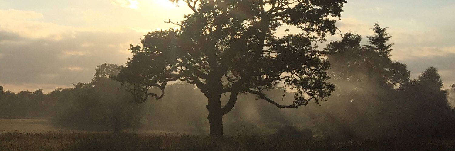 Richard Neish banner