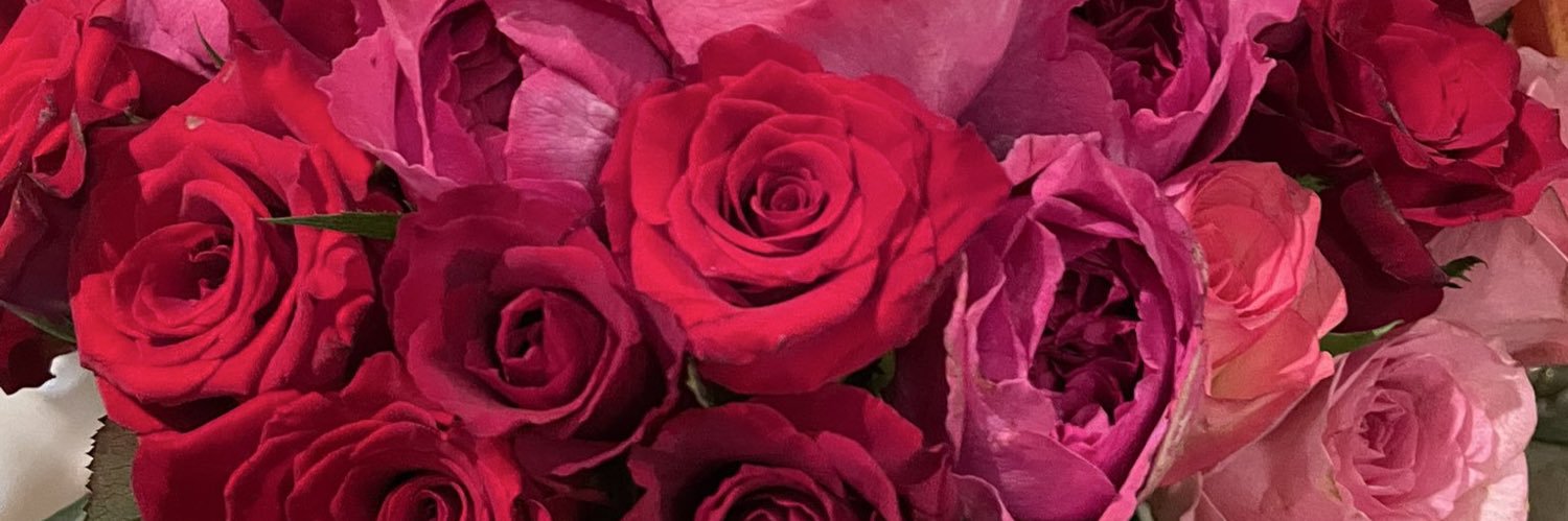 AstyRose's profile banner image