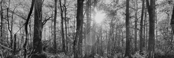 TheLiftedIndex Profile Banner