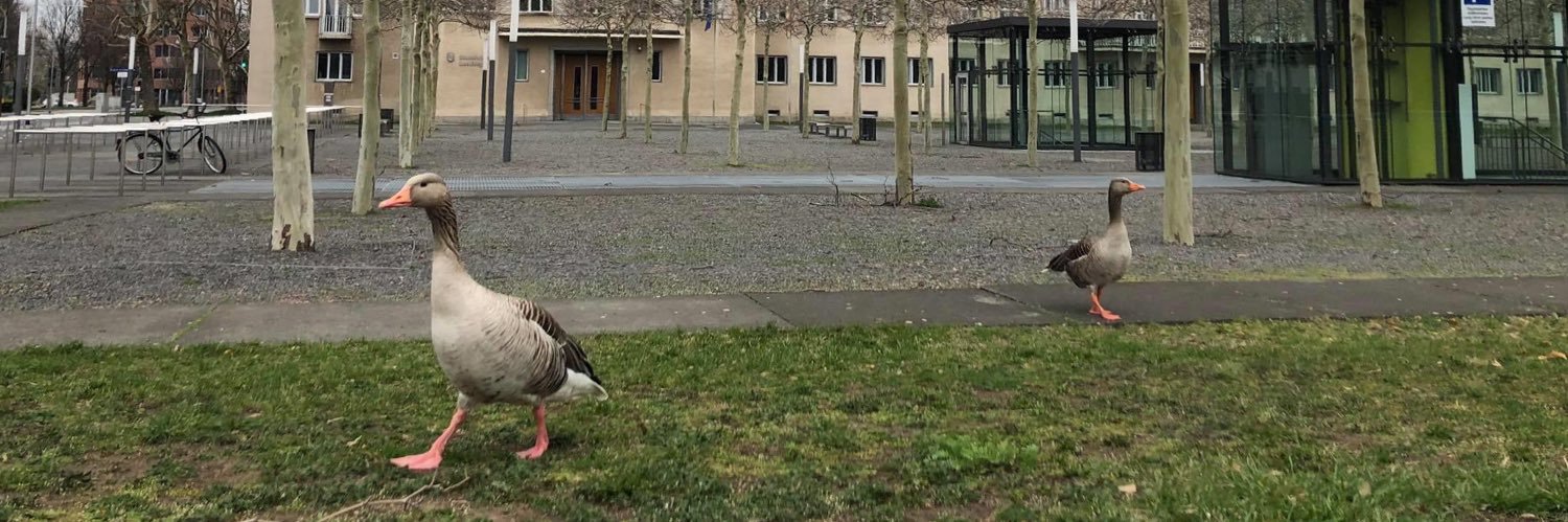 Michael Deutschmann 🇮🇱 מיכאל דויטשמן banner