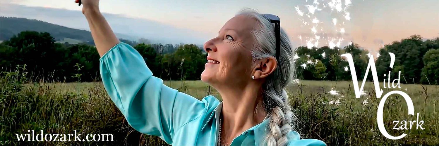 𝕄𝕒𝕕𝕚𝕤𝕠𝕟 𝕎𝕠𝕠𝕕𝕤 banner