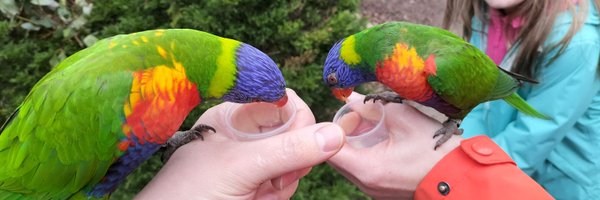 pjenkins200 Profile Banner