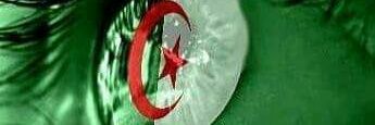 haroune84's profile banner image