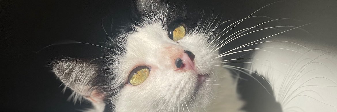 caiooooooooooob's profile banner image