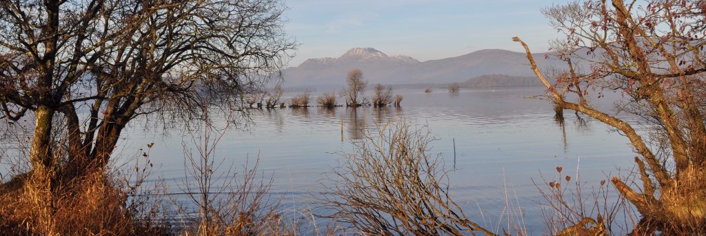 Freda Scott-Park banner
