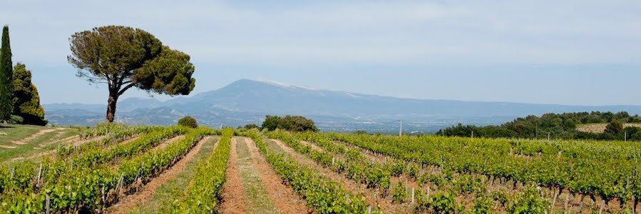 finewinesforall's profile banner image