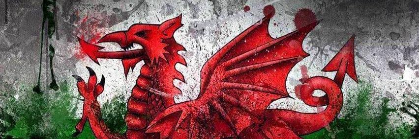 redbungle's profile banner image