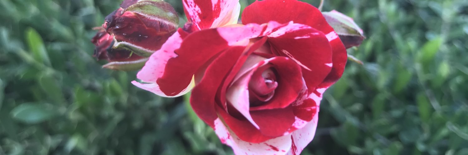 JoshDLifestyle's profile banner image