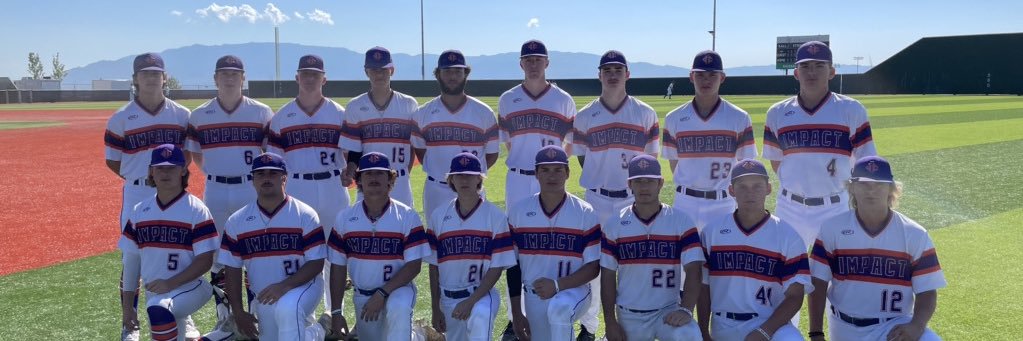 Impact Baseball Club 18U Gray banner