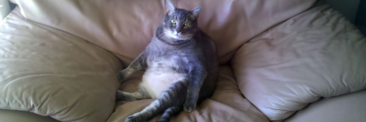 orangechicken42's profile banner image