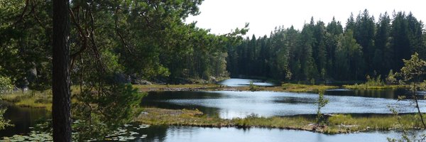 SamsonYuen852 Profile Banner