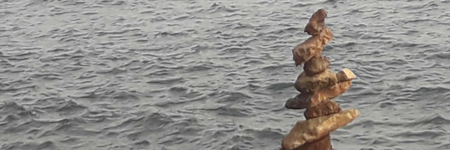 ursus ursus 🏴󠁧󠁢󠁥󠁮󠁧󠁿 banner