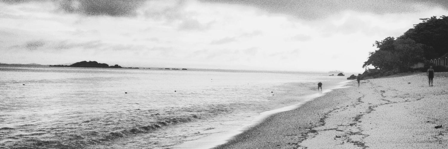 zainab0's profile banner image