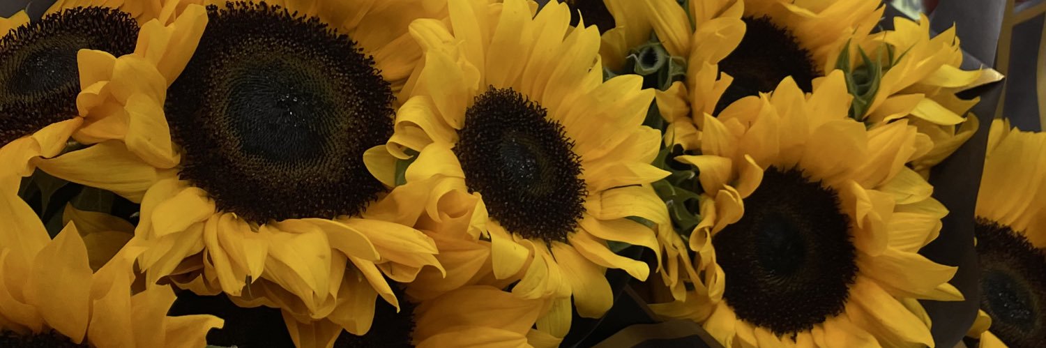 ixxer121's profile banner image